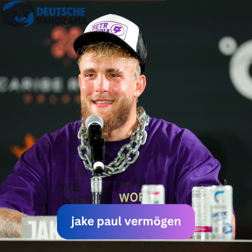 jake paul vermögen