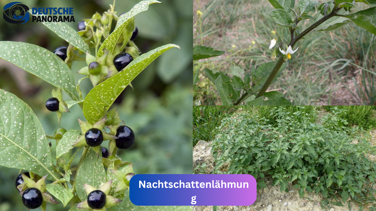 Nachtschattenlähmung: Ursachen, Symptome und Hilfe